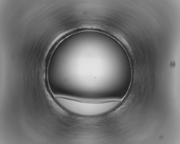 X0000091180984200708091042