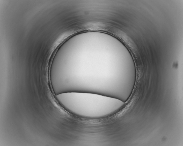 X0000091180986200708091042