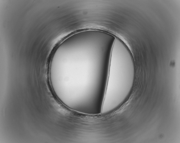 X0000091180987200708091042