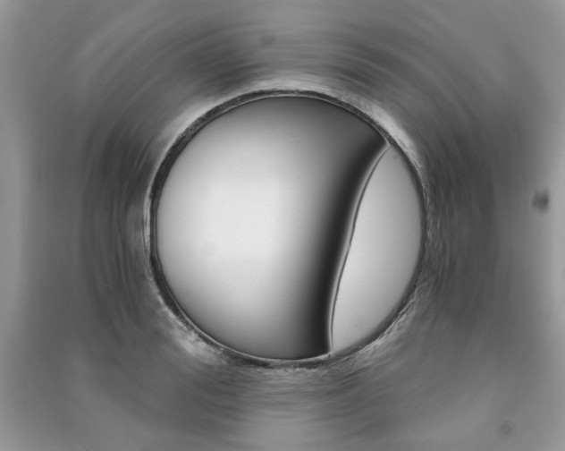 X0000091180988200708091042