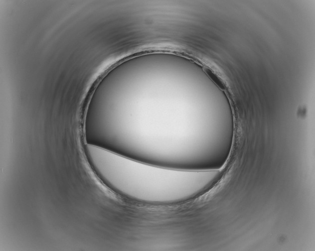 X0000091180989200708091042