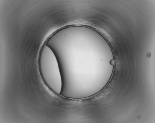 X0000091180990200708091042