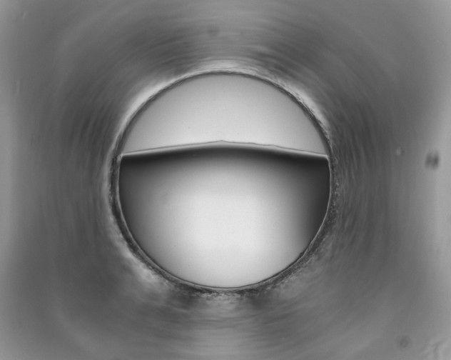 X0000091180991200708091042