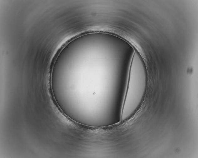 X0000091180992200708091042