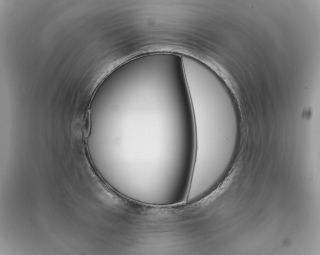 X0000091180993200708091042