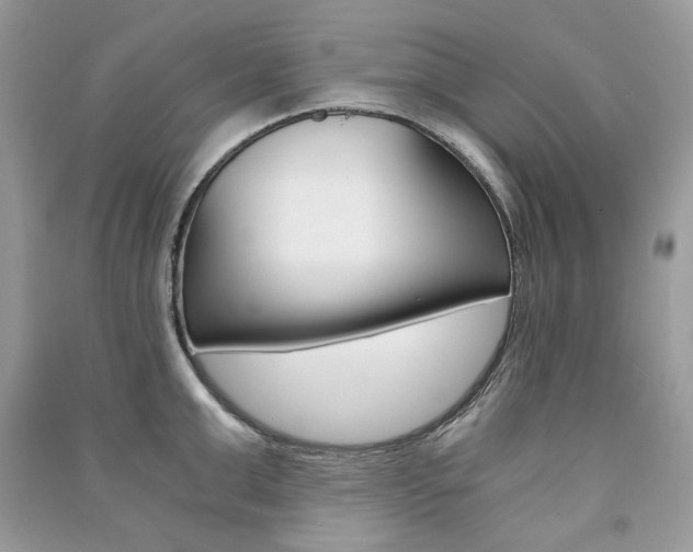 X0000091180999200708091042