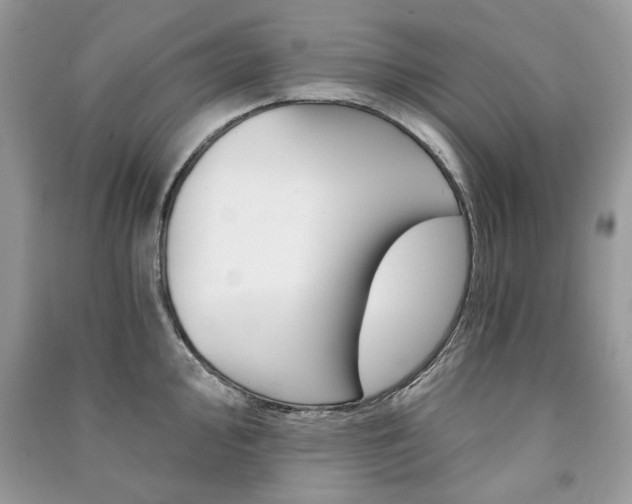 X0000091181000200708091042