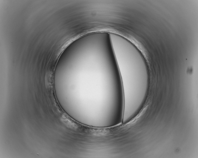 X0000091181001200708091042