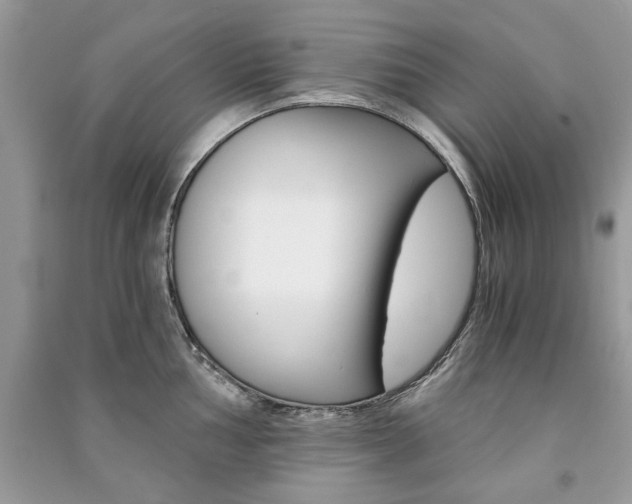 X0000091181002200708091042