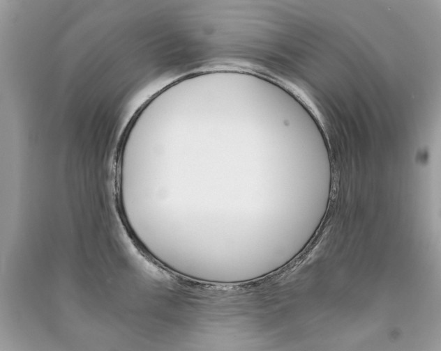 X0000091181003200708091042