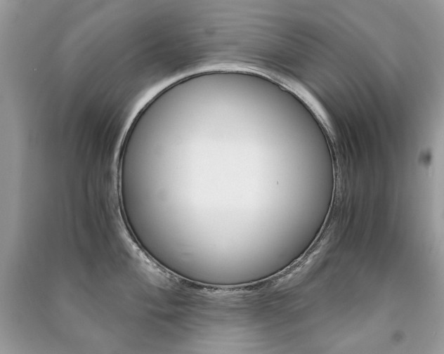 X0000091181004200708091042