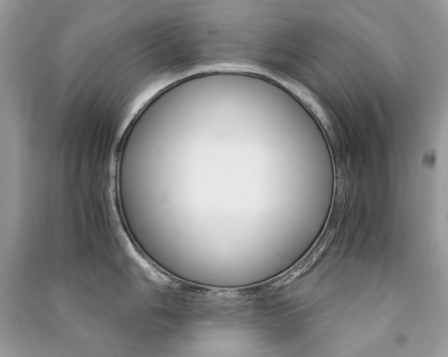 X0000091181006200708091042