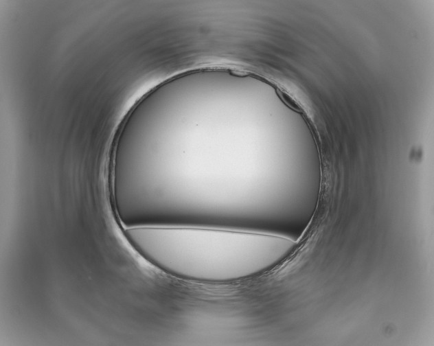 X0000091181007200708091042