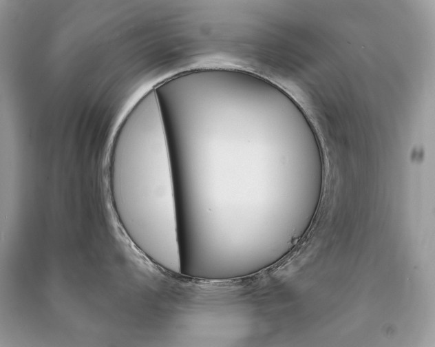 X0000091181008200708091042