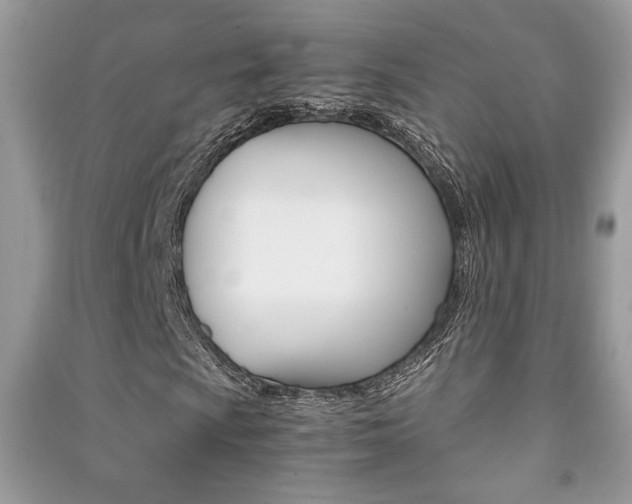 X0000091181009200708091042