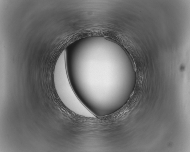 X0000091181010200708091042