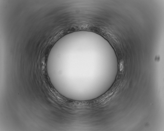 X0000091181011200708091042