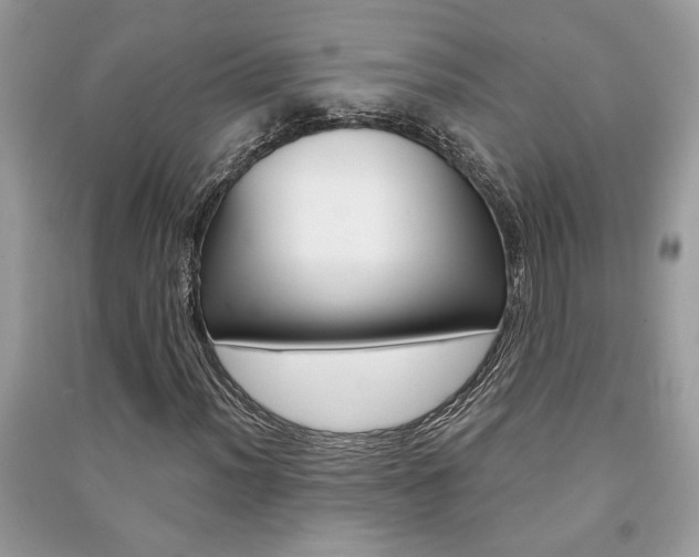 X0000091181012200708091042