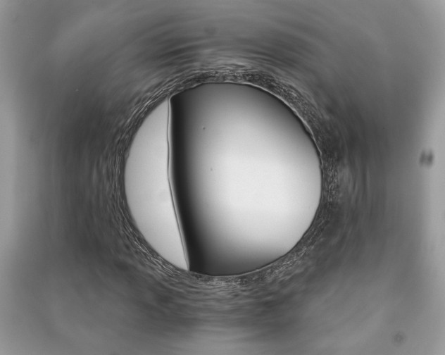 X0000091181013200708091042