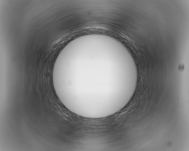 X0000091181014200708091042