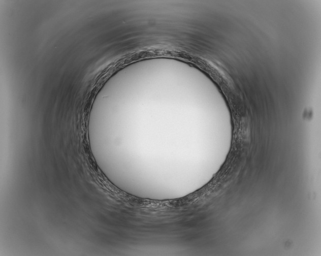 X0000091181015200708091042