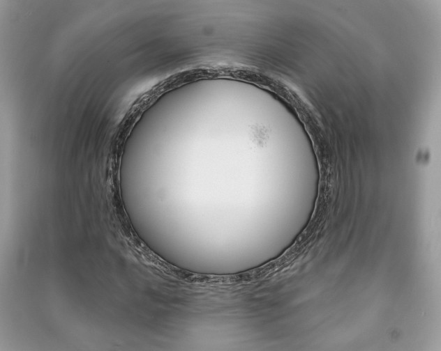 X0000091181016200708091042