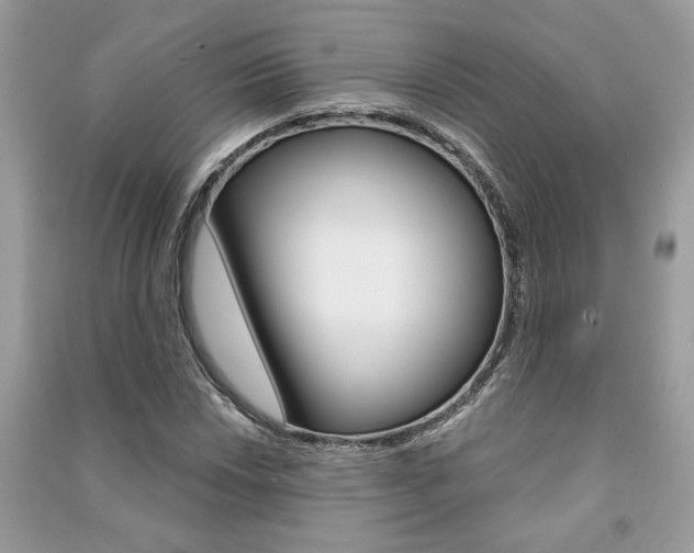 X0000091181018200708091042