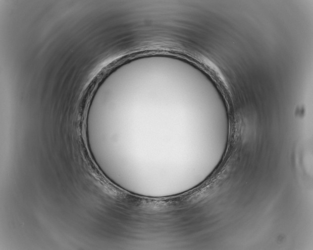 X0000091181019200708091042