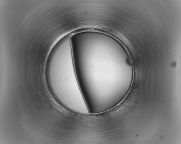 X0000091181020200708091042