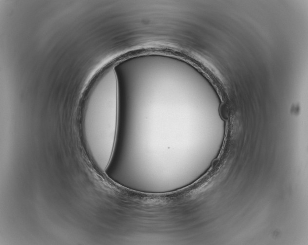 X0000091181021200708091042