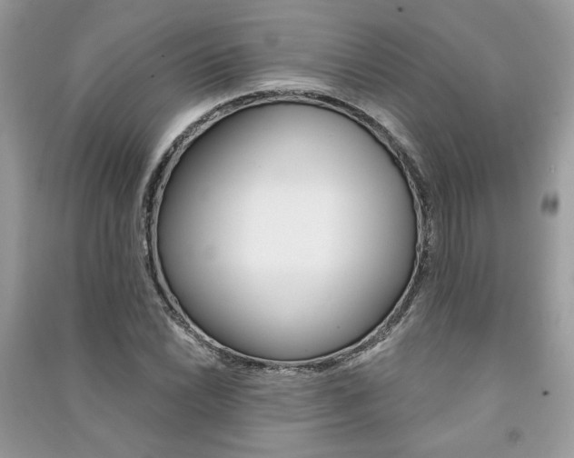 X0000091181022200708091042