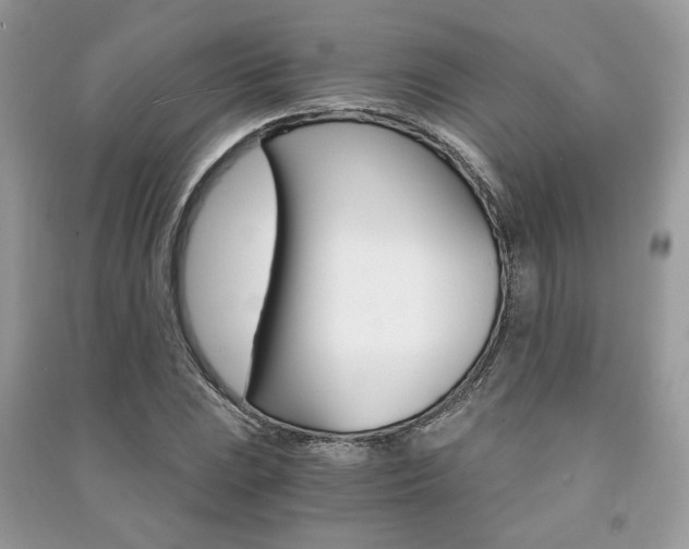 X0000091181023200708091042