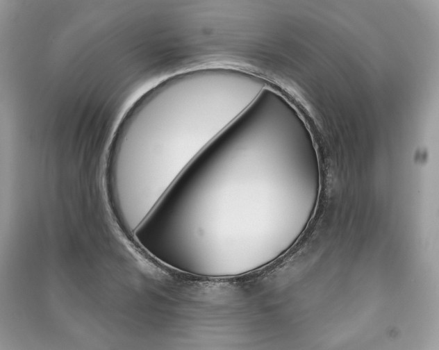X0000091181024200708091042