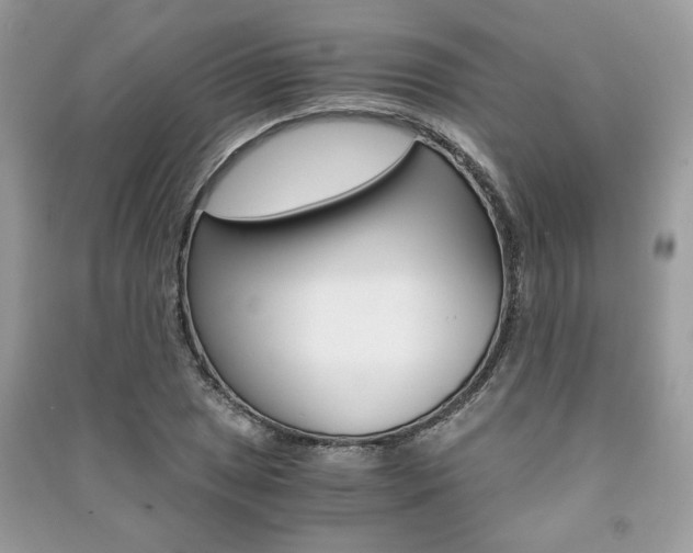 X0000091181025200708091042