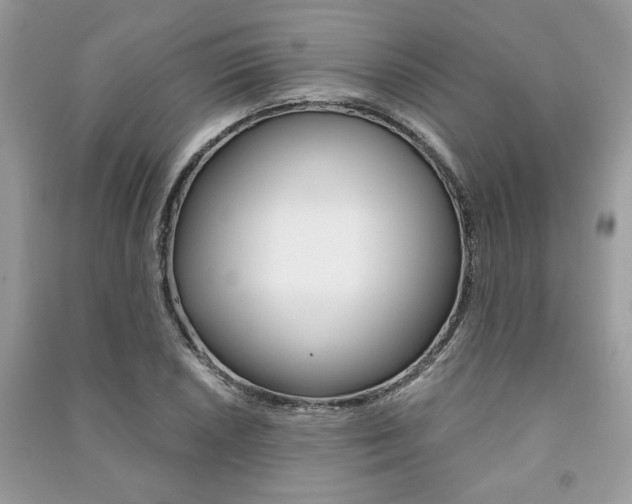 X0000091181026200708091042