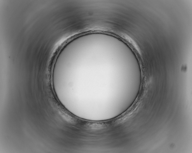 X0000091181027200708091042