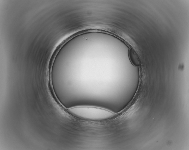 X0000091181028200708091042