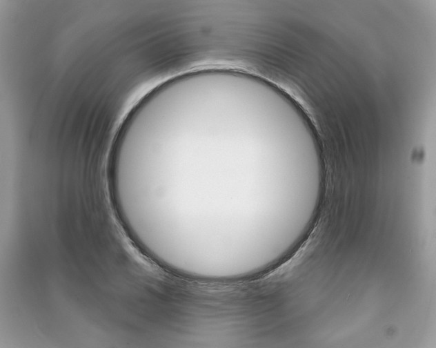 X0000091181030200708091042