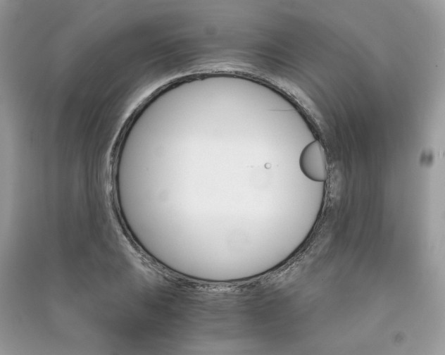 X0000091181031200708091042