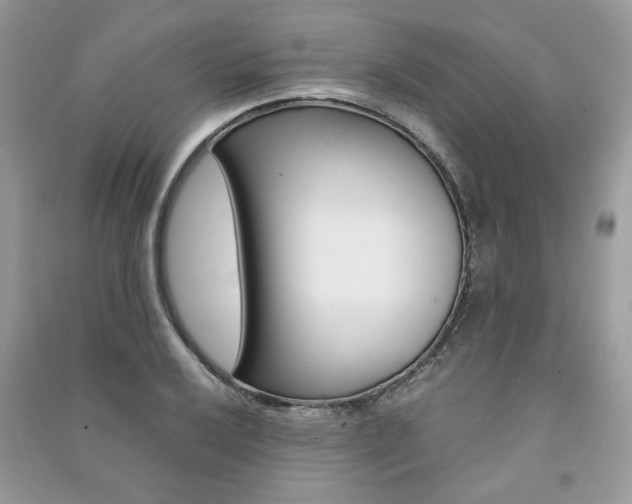 X0000091181032200708091042
