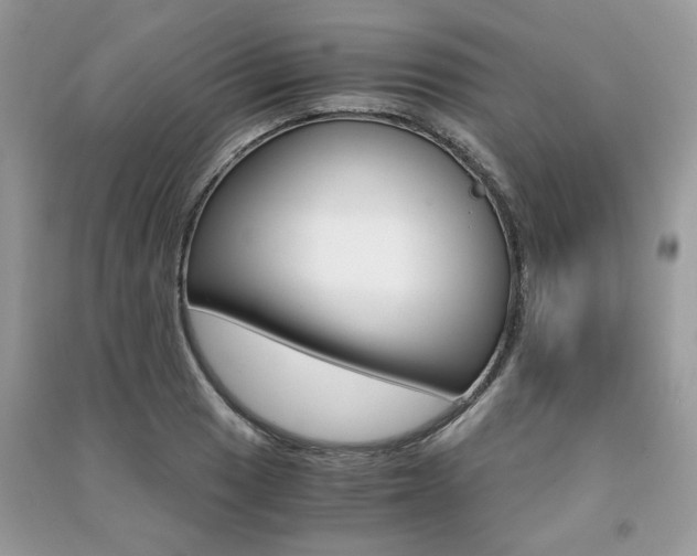 X0000091181033200708091042