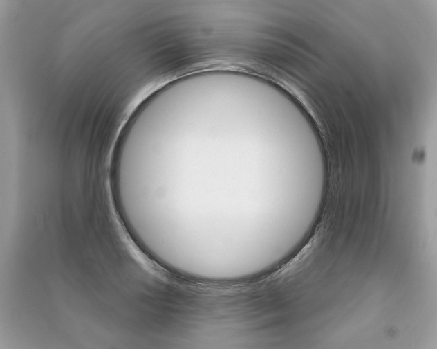 X0000091181034200708091042