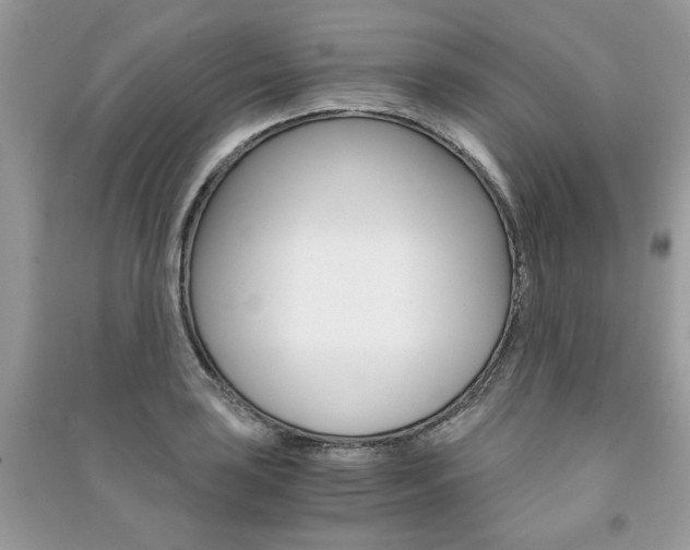 X0000091181035200708091042