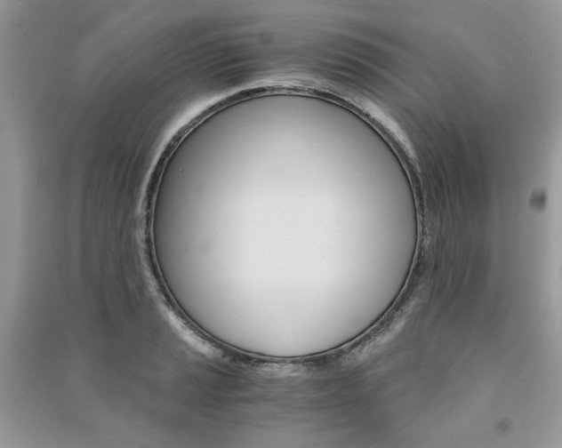 X0000091181037200708091042