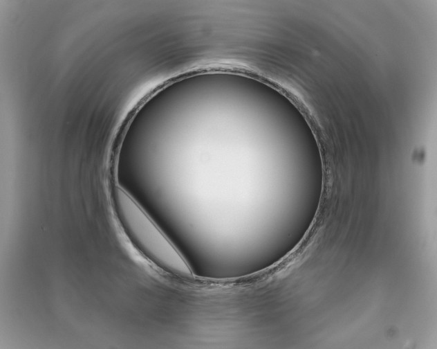 X0000091181038200708091042