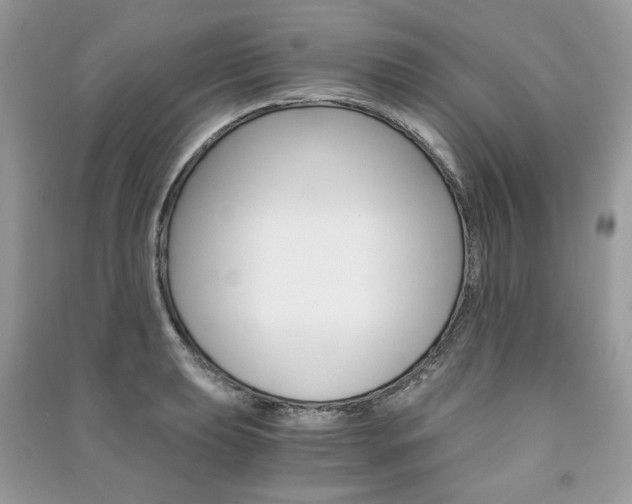 X0000091181039200708091042