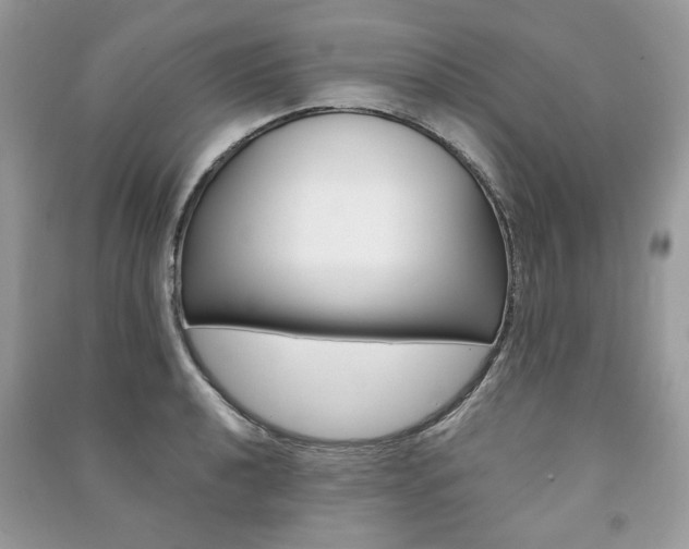 X0000091181040200708091042