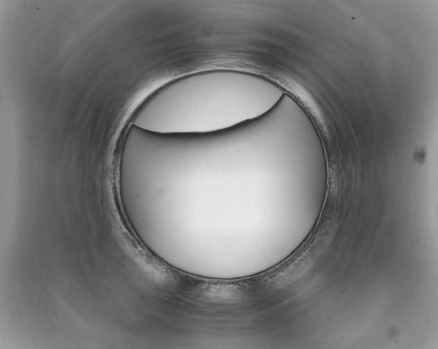X0000091181043200708091042