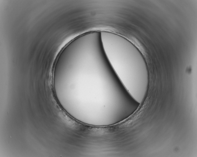 X0000091181044200708091042