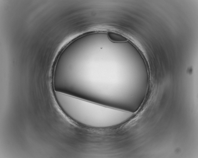 X0000091181045200708091042